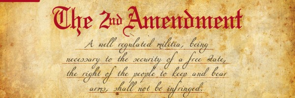 Second Amendment Banner Art