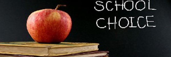 School Choice Banner Image